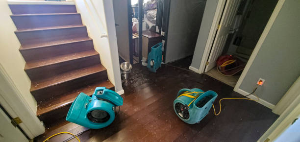 Water damage restoration